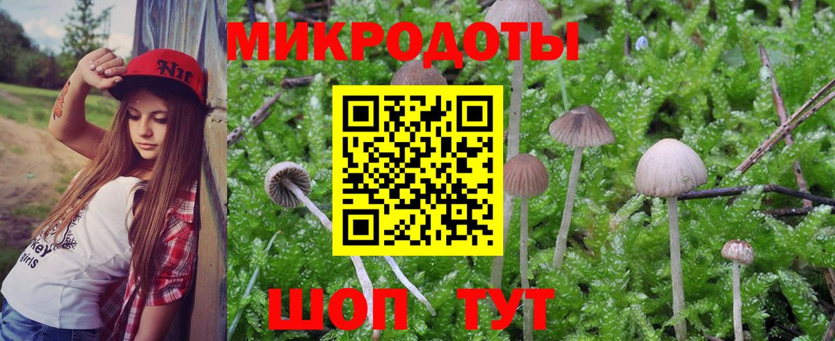 Галлюциногенные грибы Psilocybine cubensis Калуга