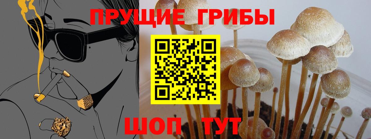 цены наркотик  Вход с VPN  Калуга  Галлюциногенные грибы ЛСД  Галлюциногенные грибы MAGIC MUSHROOMS 